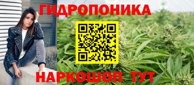 стаф Малгобек
