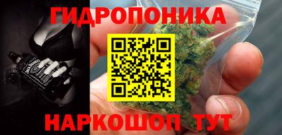 стаф Малгобек