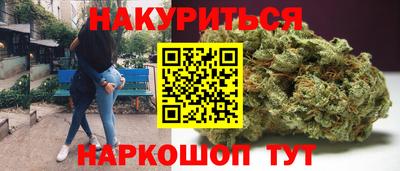 стаф Малгобек