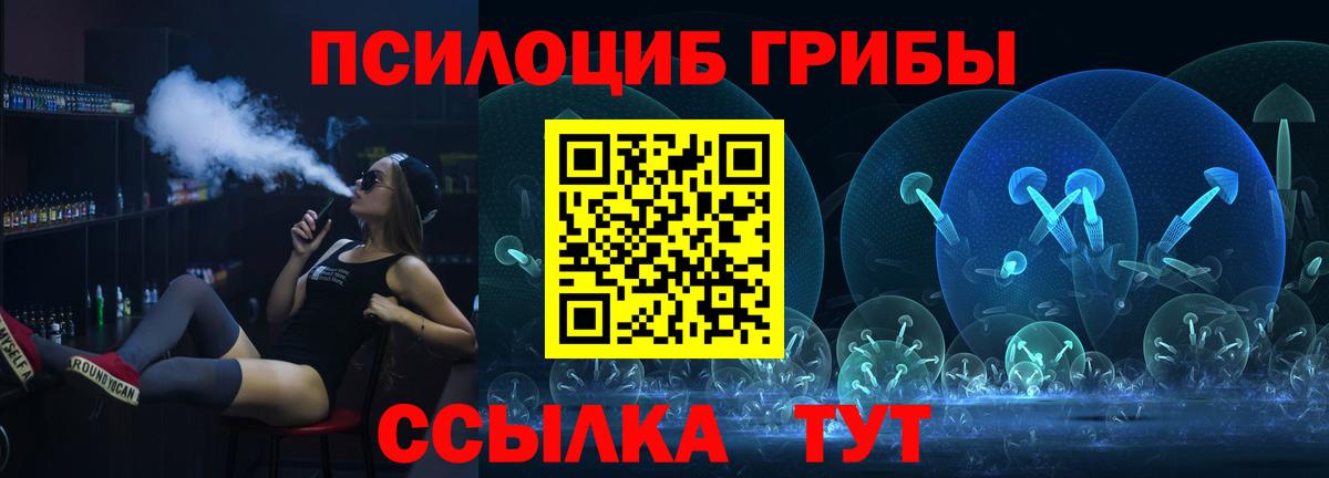 купить наркотики сайты  Псилоцибиновые грибы ЛСД  Вход с VPN  Галлюциногенные грибы Psilocybe  Тулун 